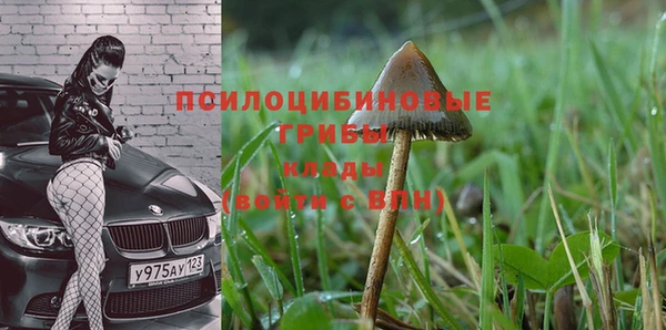 каннабис Абинск