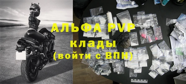 спайс Пересвет